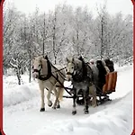 Hotel Zur Edlen Krone *